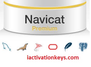 Navicat Premium 16.1.1 Full Crack 